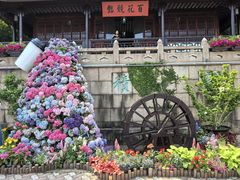 -苏州上方山国家森林公园