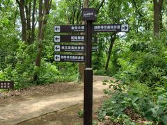 -苏州上方山国家森林公园