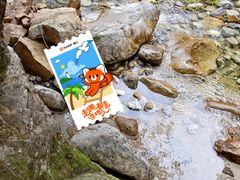 -陕西省红河谷森林公园