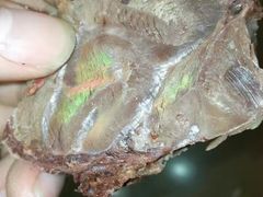 -清真铁志明腊牛羊肉