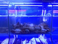 水产区-捞围鲜·港式打边炉(海阳路店)