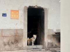 -清华大学艺术博物馆