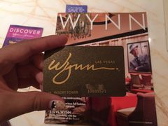 -拉斯维加斯永利酒店