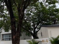 -颈渴