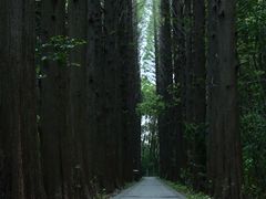 -同里国家湿地公园