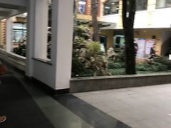 -上海市皮肤病医院(武夷路院区)