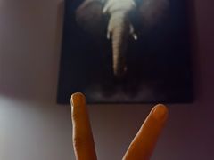 -菩泰·泰式草本按摩SPA(武汉新天地南馆店)