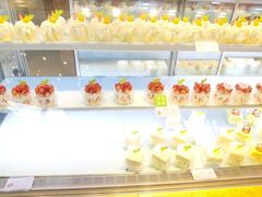 -蒲公英(象山北路店)