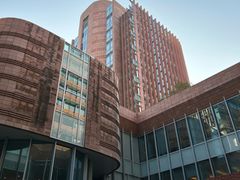 -香港大学