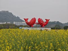 -光明小镇欢乐田园