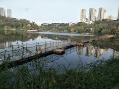 -重庆彩云湖湿地公园