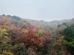 -慕田峪长城