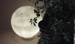 -芳香乐府疗愈空间·SPA·冥想