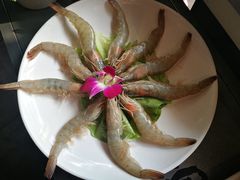 -川西坝子(老军营店)