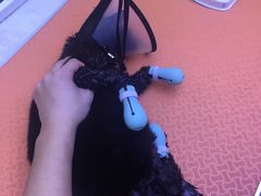 -喵百万·布偶·蓝金金渐层英短·猫舍(百子湾店)
