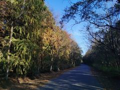 -上海海湾国家森林公园