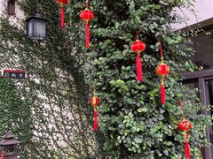 -水岸居湖景农家乐·阳澄湖大闸蟹