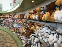 -济州岛泰迪熊博物馆