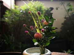 -白鹭原茶艺馆