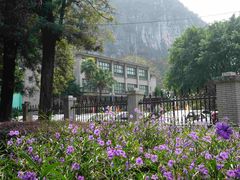 -广西壮族自治区南溪山医院