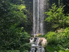 -新加坡飞禽公园