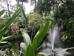 -广州兰圃