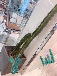-潘多拉Hairsalon