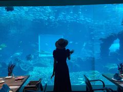 -海棠湾洲际-涛·海底餐厅·美人鱼·自助餐·海底隧道