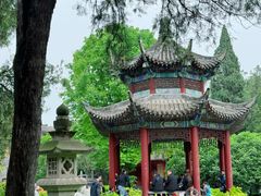 -洛阳白马寺