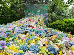 -上海共青森林公园