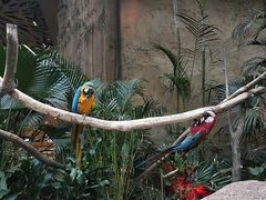 -杭州开元森泊度假乐园