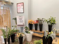 -摩睫+皮肤管理·科学美容中心