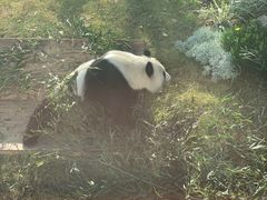 -无锡动物园·太湖欢乐园