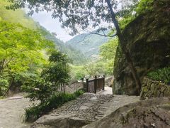 -百杖潭景区
