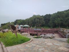 -北京西山国家森林公园