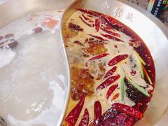 -小龙坎火锅(沙井店)