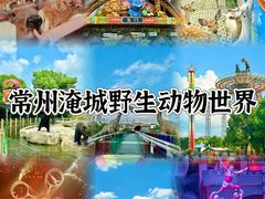 -常州淹城野生动物世界