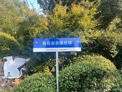 -浙江安吉JW万豪酒店