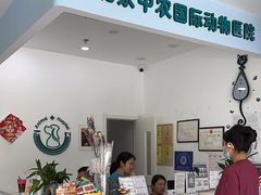 -中农国际动物医院24小时·猫科·骨科·急重症中心