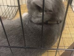 -陆记牛庄·碳锅龙虾烧烤(爱上花园店)