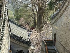 -潭柘寺景区