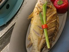 -松沪名灶·豆浆鱼头·新上海菜(飞航吾悦广场店)