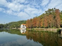 -深圳仙湖植物园