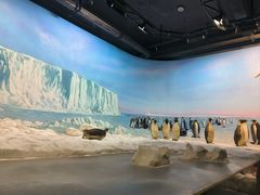 -浙江自然博物院(杭州馆)