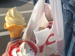 -肯德基(大桥北服务区东店)