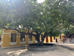 -哈尔滨文化公园