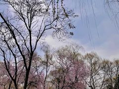 -颐和园