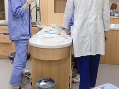-联合动物医院(光谷诊疗中心)