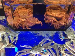 -蟹道乐(道顿堀本店)