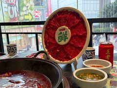 -巴蜀大将火锅(春熙店)
